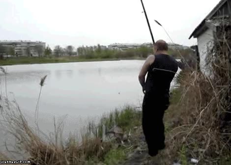 gato,pesca,pez,ladron,hambre