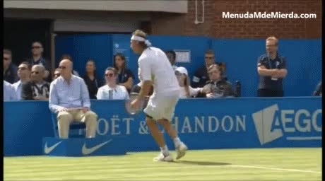 agredir,Nalbandian,tenis,descalificado