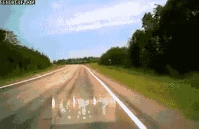 Burro,adelantar,coche,carretera