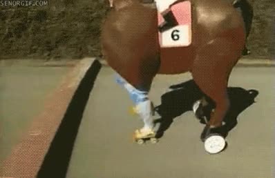 caer,fail,pony,caballo,chica,little
