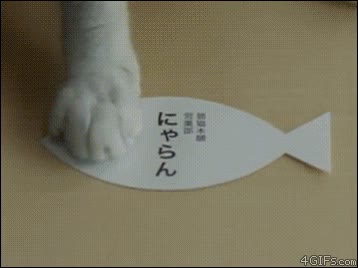 gato,trabajar,japonés,monada