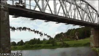 puente,saltar,puenting,salto,simultaneo