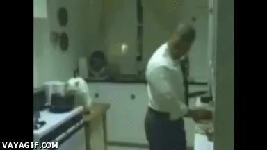 juzgar,cena,novia,gato,impresionar