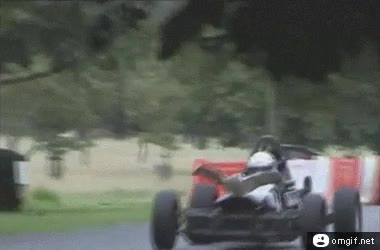 carrera,vehículo,hombre,subida,animal,aguila