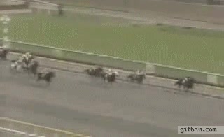 caballo,carrera,rápido,ganar