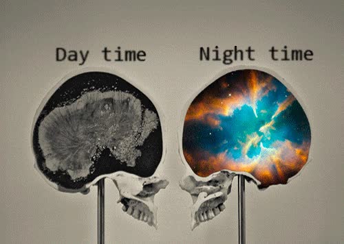 imaginación,cerebro,de día,de noche