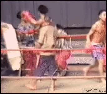 puñetazo,chino,golpe,tipo,boxeo,japones
