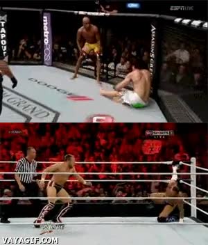 silva,WWE,UFC,luchas,iguales,cm punk,daniel bryan