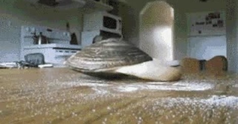 jabba el hutt comiendo gif