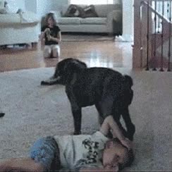 niño,perro,silla,sentarse