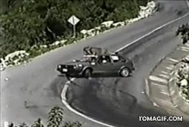 por los pelos,accidente,vaca,conductor,animal,coche