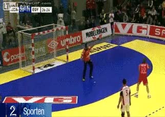 portería,disparo,balonmano,gol
