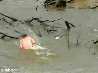 ataque,saltarines,peces,río