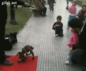 perro,marioneta,pelota