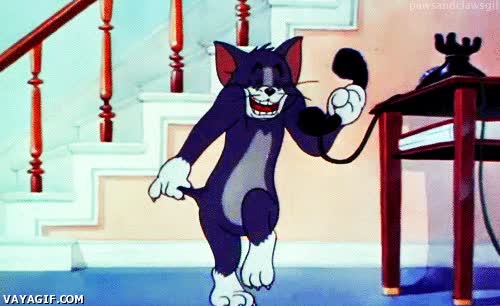 broma,tom y jerry,gato,telefono