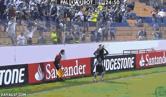 futbol,pelotazo,arbitro,tribuna,trollando,aficionados