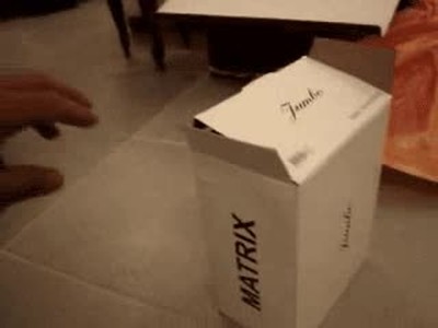 arañazo,gato,caja,matrix,mano
