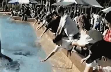 agua,delf&iacute;n,orca,ni&ntilde;o