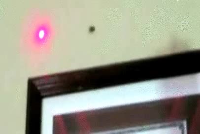araña,laser,seguir,pared