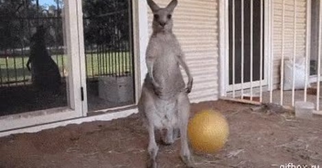 ¡Vaya GIF! / Dímelo a la cara