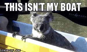 piragua,koala,barco
