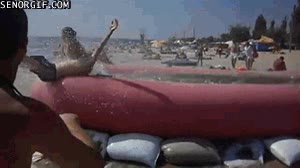 chico,tobogán,mar,arena,fail