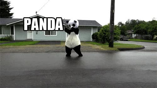 coche,panda,atropello
