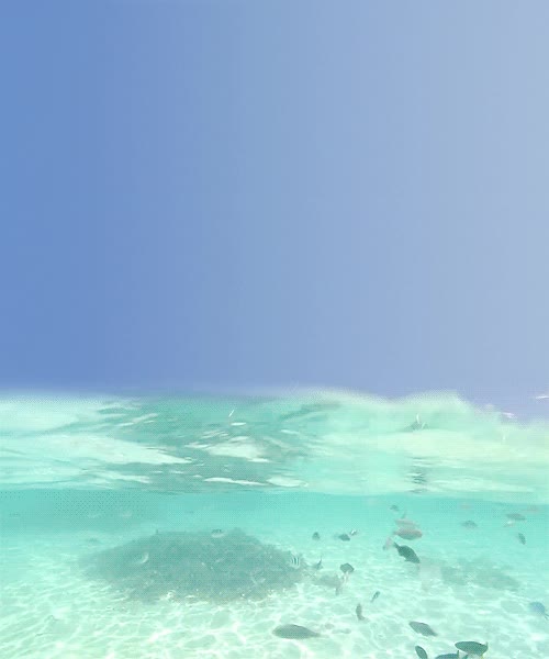 maldivas,mauricio,olas,playa,peces,mar,paraíso
