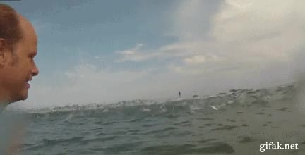invasión,saltar,mar,peces