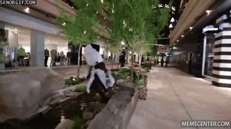 parkour,assassin's creed,calle
