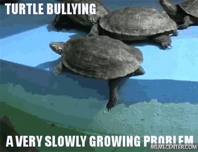 tortuga,empujar,amiga