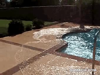 tsunami,piscina,tirar,gordo