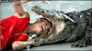 cocodrilo,meter,cabeza,valiente