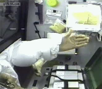 rana,gravedad,cero,luchar