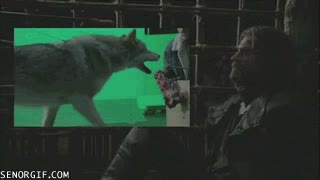 actor,perro,Pelicula,juego de tronos,jaime lannister
