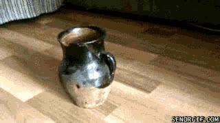 Gato peque&ntilde;o,gato,jarr&oacute;n,esconderse