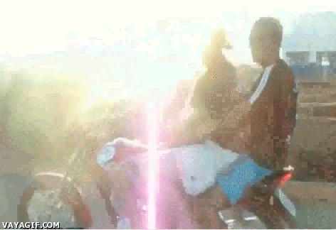 moto,caballito,personas