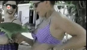 due&ntilde;o,loro,pervertido,travieso,mujer