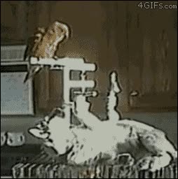 gato,loro,cagarse,marrano,caca