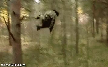 salto,gente,ayuda,fail,agujero,gorda