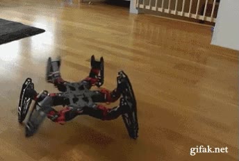robot,araña,realista