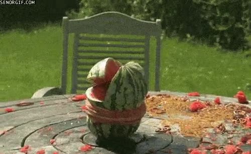 elasticas,gomas,explosión,cámara lenta,mola,mesa,pollo