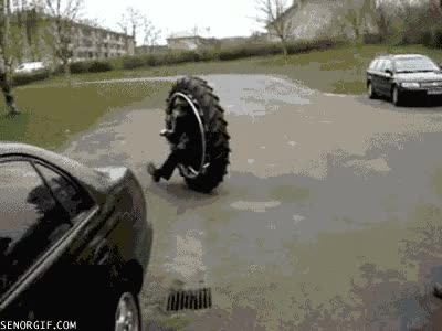 rueda,mortal,pasto,control