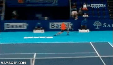 deporte,tenis,Grigor Dimitrov,dejada,gif