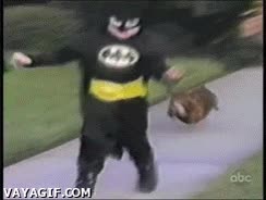 salchicha,halloween,pedir,niño,perro,disfraz,caramelos