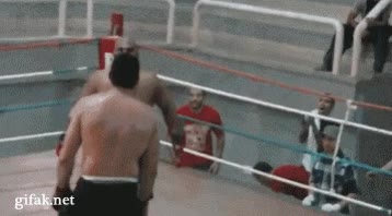 pelea,boxeo,lucha,vacilon,patada,pu&ntilde;etazo,ko