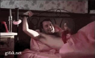 cama,Bragas,enormes,esposas,noche anterior