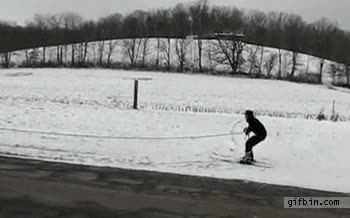 carro,carruaje,remolcar,remolque,esqui,caballo,nieve