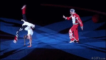 baile,gato,acrobacia,pirueta,bailarina,acrobata