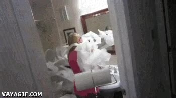 higienico,novia,broma,lanzador,papel,wc,troll